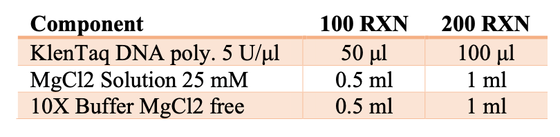 klen-taq-DNA-polymerase